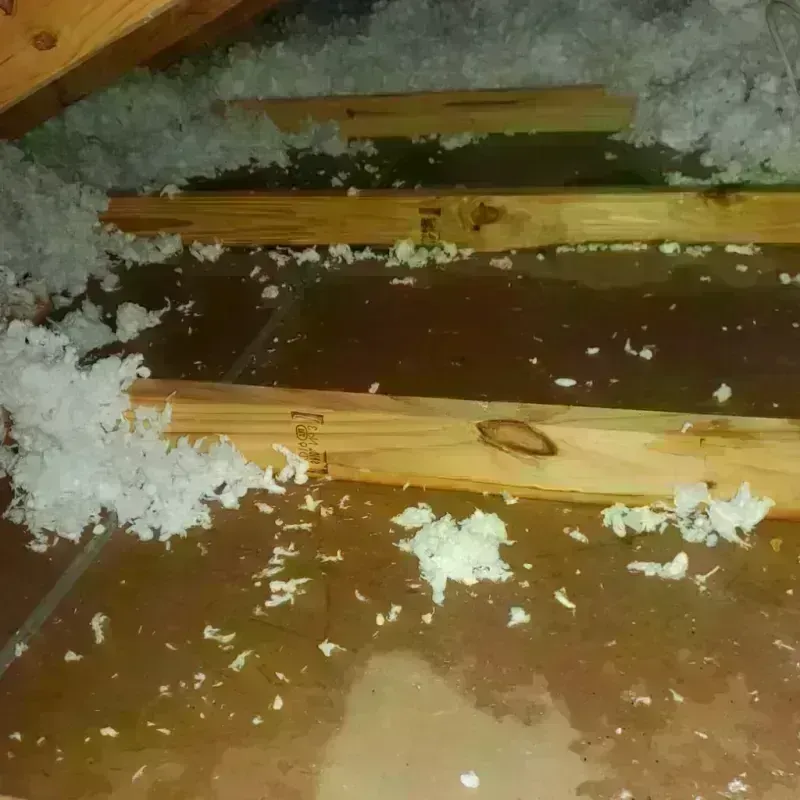 Attic Water Damage in Canton, GA